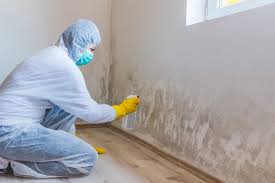 Best Comprehensive Air Testing for Mold Contaminants  in Greenfield, OH