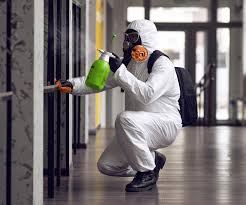 Best Commercial Mold Inspection  in Greenfield, OH